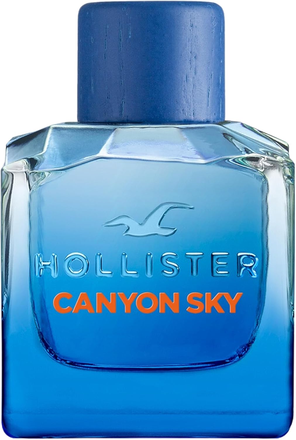 Hollister Canyon Sky for Him Edt 100ml