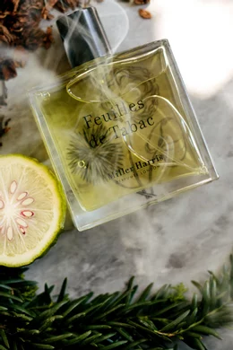Miller Harris Feuilles de Tabac Edp 100ml - Image 4